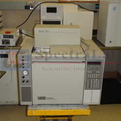 HP 5890 II GC with Wasson ECE  special valve system
