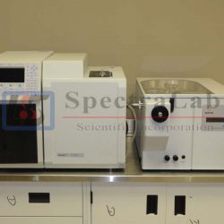 Varian 3800GC with 1200L Triple Quadruple MS/MS