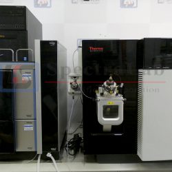 Thermo TSQ Quantiva Triple Quadrupole Mass Spectrometer with Vanquish MD UHPLC