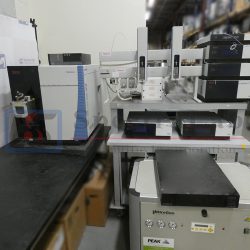 Thermo Scientific TSQ Endura Triple Quad LC-MS/MS with Ultimate Transcend II UHPLC